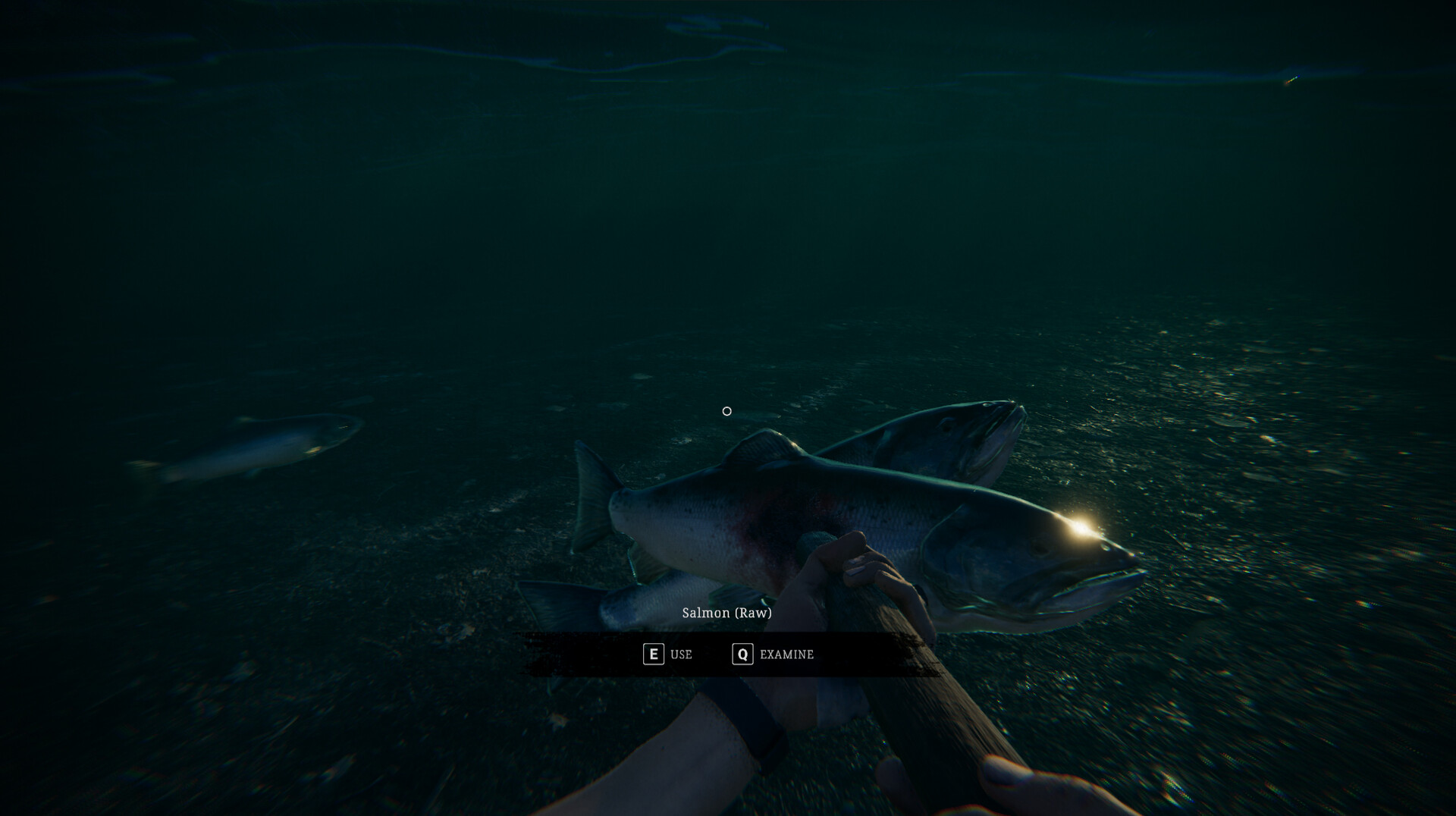 Zero Symptom screenshot #10