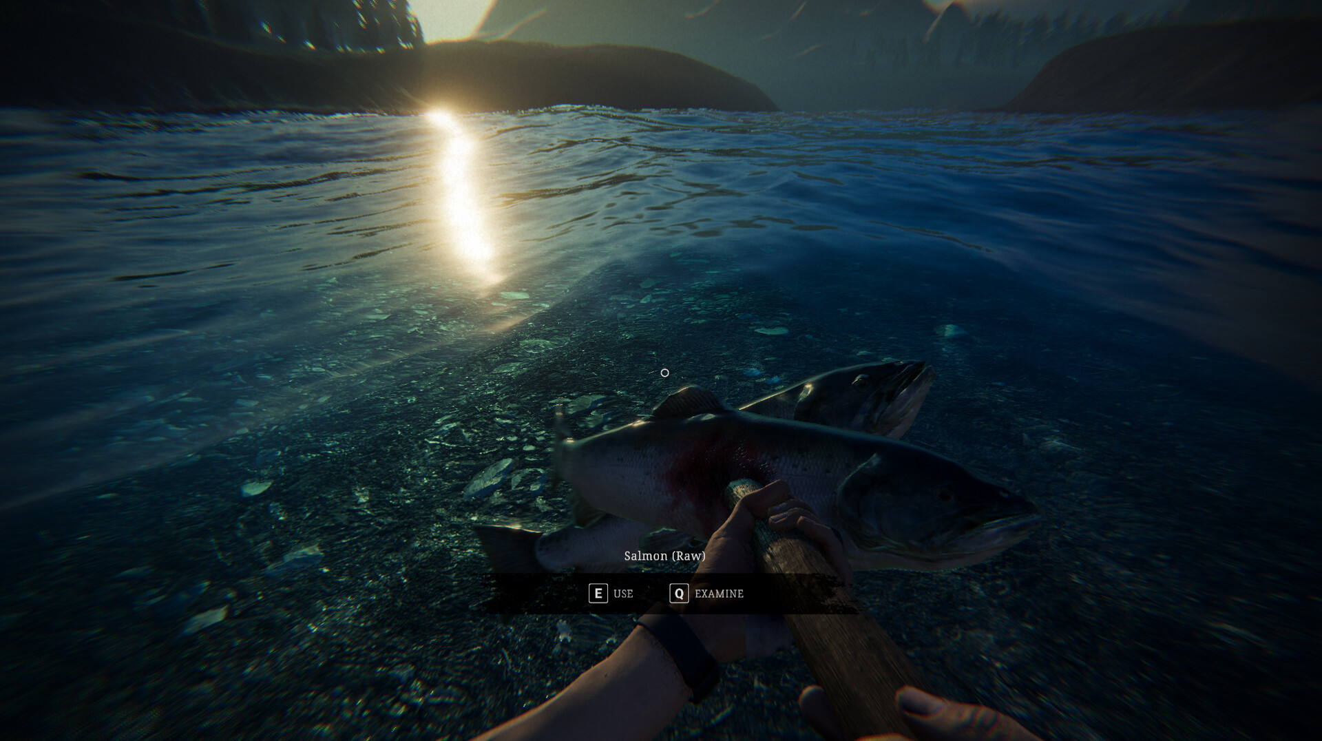 Zero Symptom screenshot #2