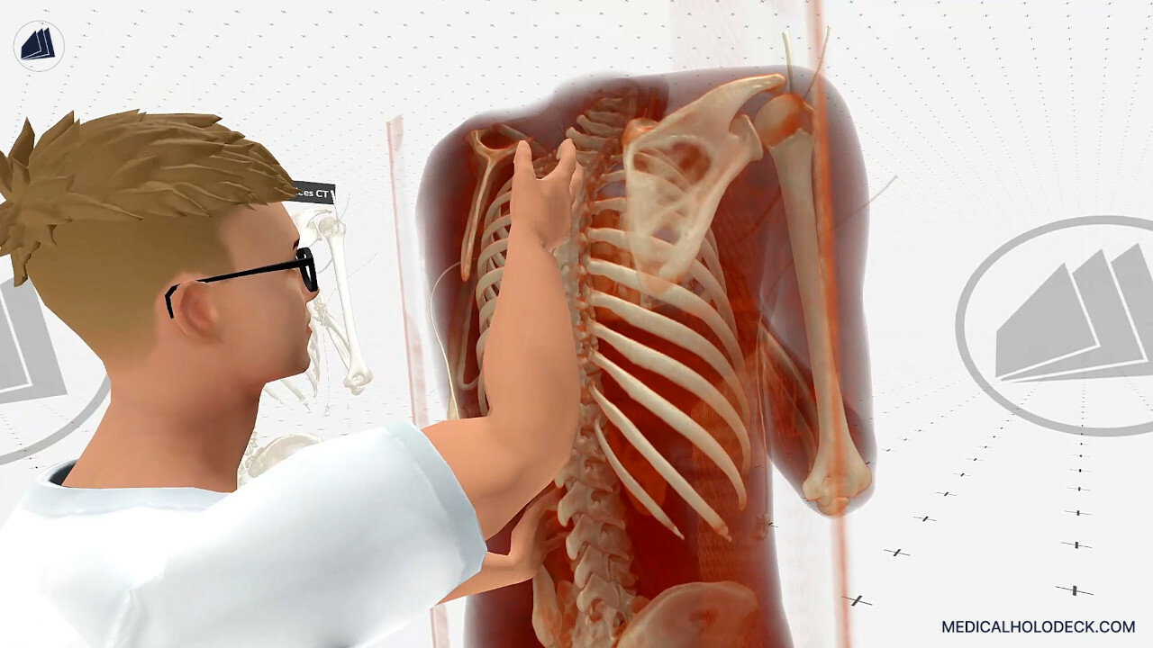 MEDICALHOLODECK®. Surgery, Anatomy, Medicine, and DICOM in Virtual Reality. For Medical Students, Nurses, Doctors and Surgeons. screenshot 4