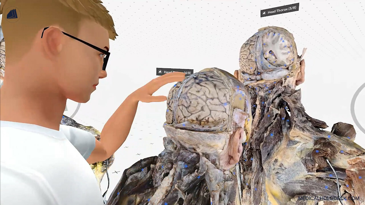 MEDICALHOLODECK®. Surgery, Anatomy, Medicine, and DICOM in Virtual Reality. For Medical Students, Nurses, Doctors and Surgeons. screenshot 3