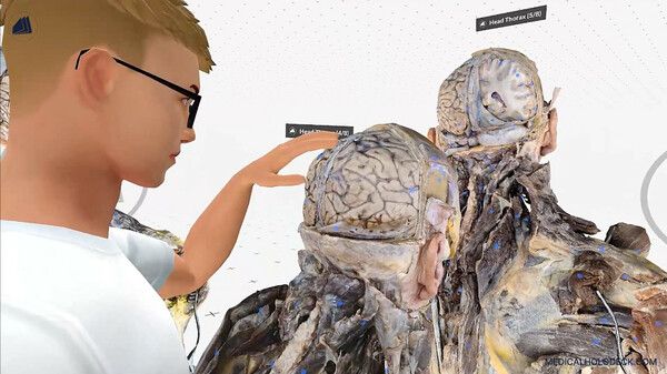 Medicalholodeck’s Spatial OS: Train surgery, create digital twins with AI and DICOM, and study human anatomy and medicine screenshot 3