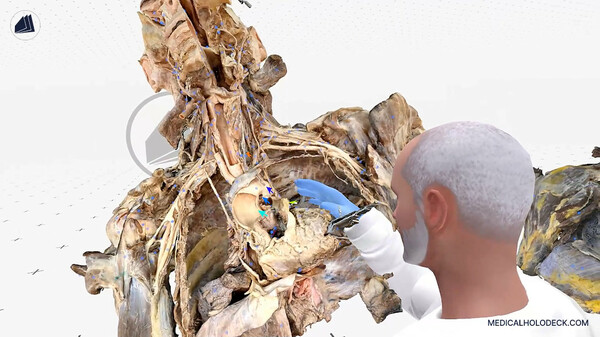 Medicalholodeck’s Spatial OS: Train surgery, create digital twins with AI and DICOM, and study human anatomy and medicine screenshot 6