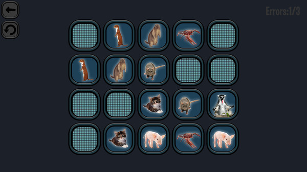 Animals Memory