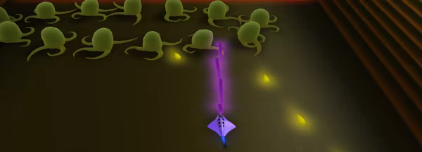 Flowing Lights video 1