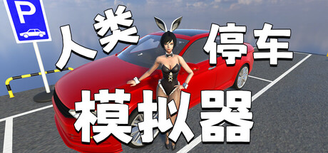 人类停车模拟器
