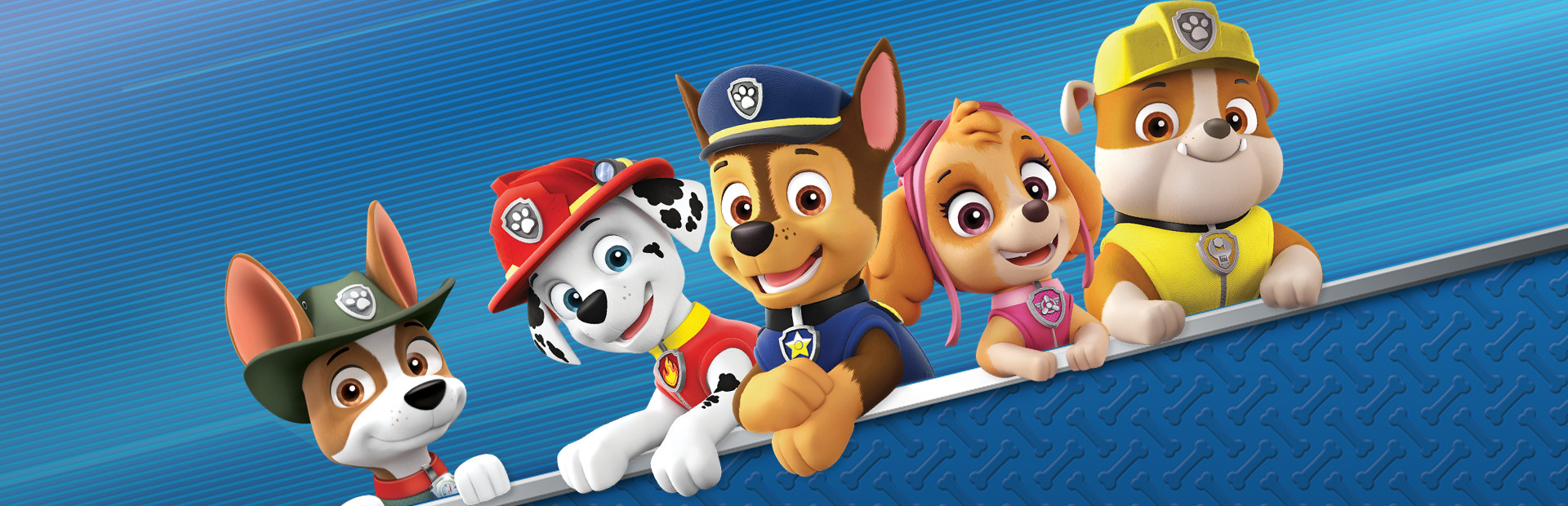 Paw Patrol: On A Roll!