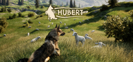 Hubert cover art