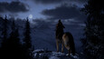 Screenshot #6