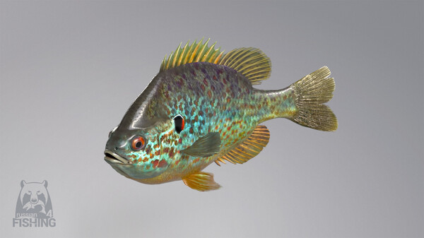 Russian Fishing 4 Screenshot