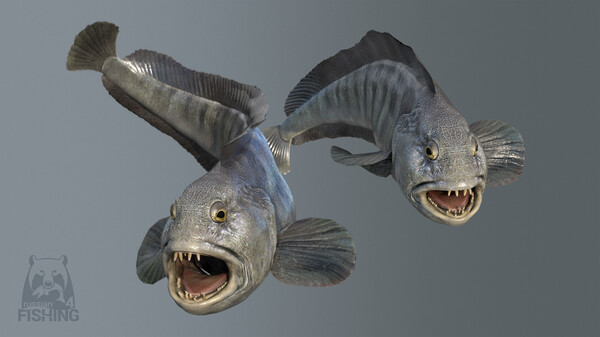 Russian Fishing 4