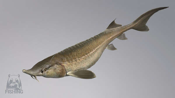 Russian Fishing 4 Screenshot