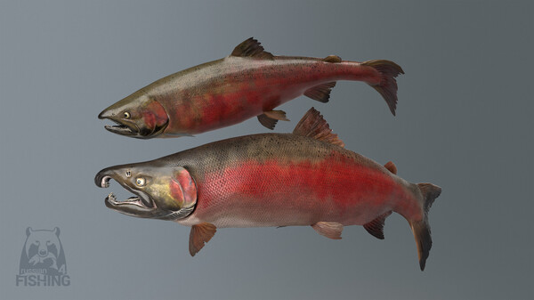 Russian Fishing 4 Screenshot