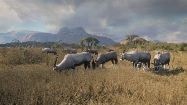 theHunter: Call of the Wild™ - New Species 2018