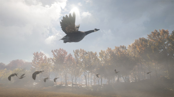 theHunter: Call of the Wild™ - New Species 2018 screenshot 8