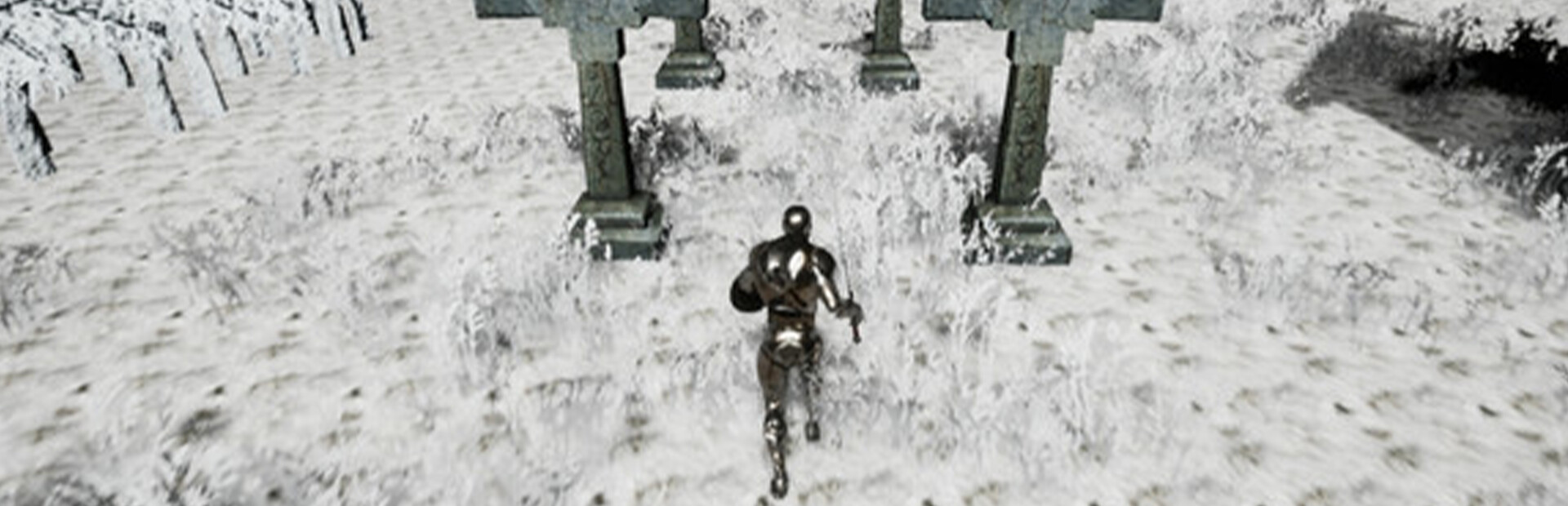 The Warrior Of Treasures