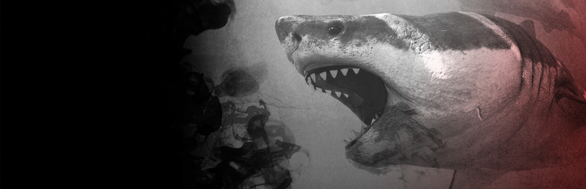 Death in the Water