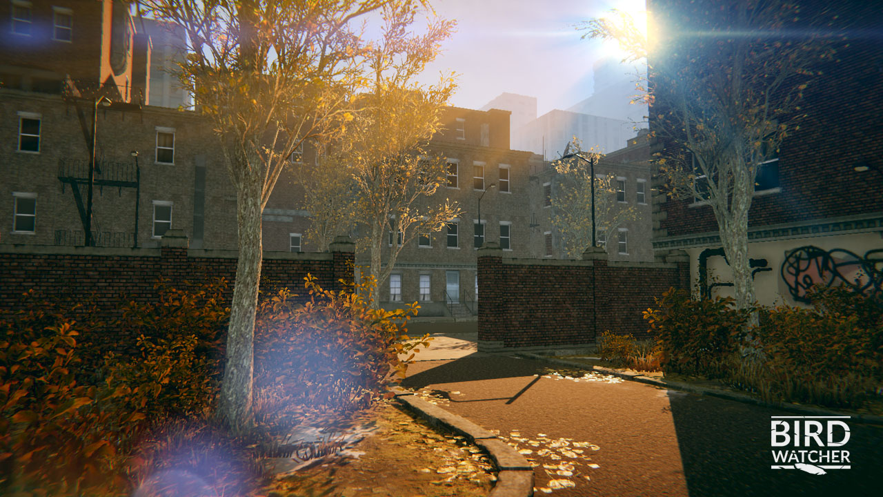 #3. Bird Watcher (Steam) 由: First Game Studio