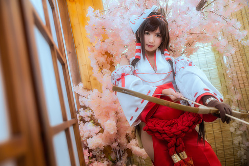 Mirror Cosplay Album