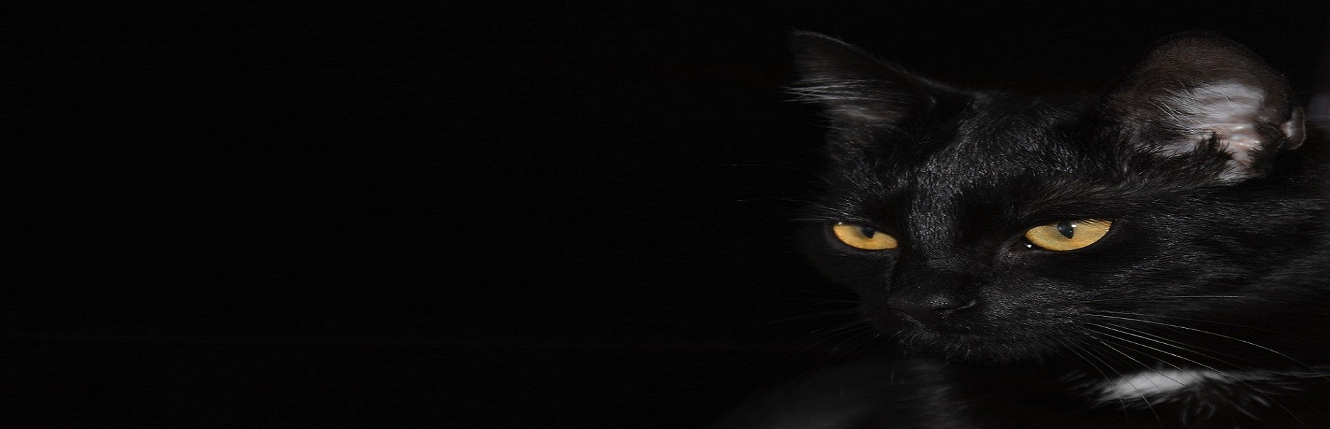 Mouse (Sneaking)