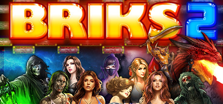 BRIKS 2 banner image