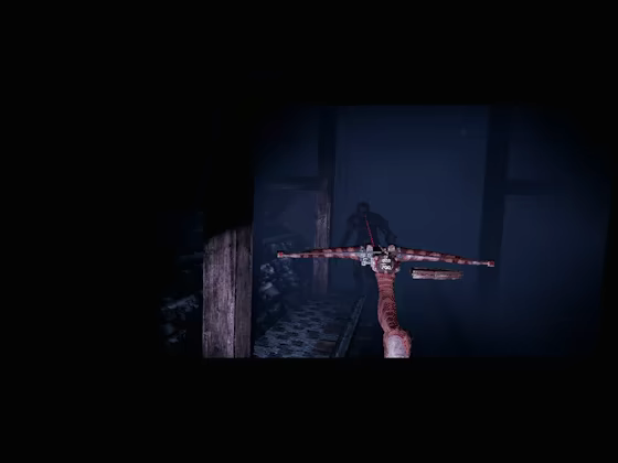 Amelia's Curse video 4