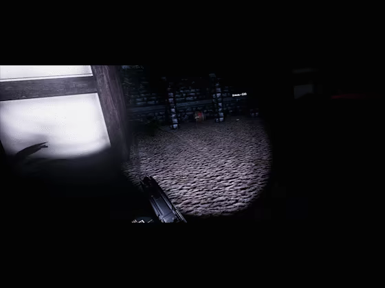 Amelia's Curse video 5
