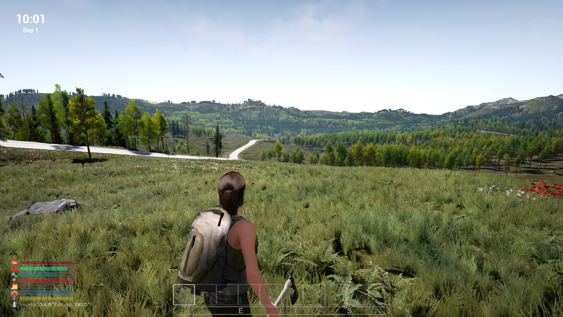 screenshot of Afandas Survival 1