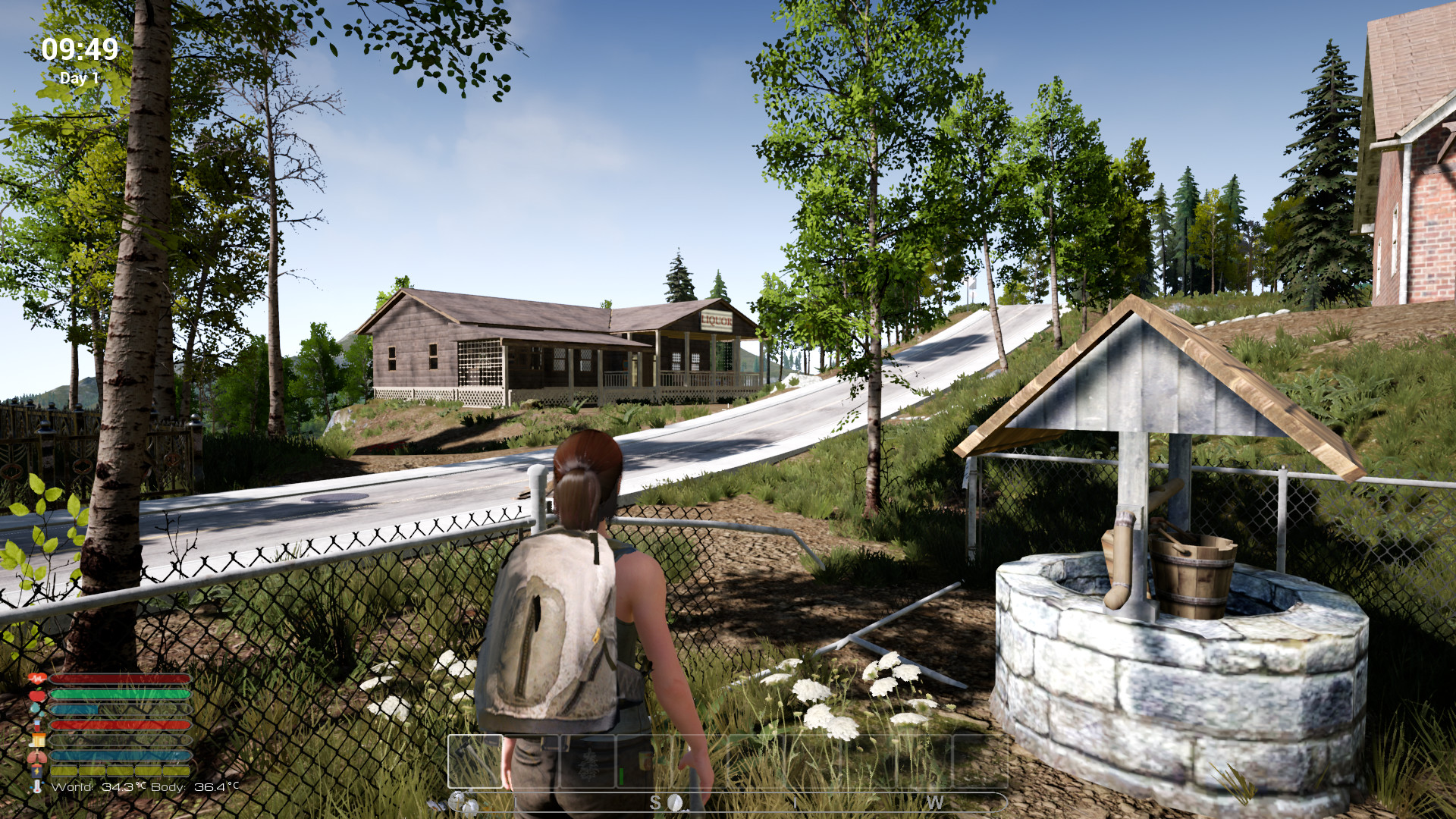 screenshot of Afandas Survival 2