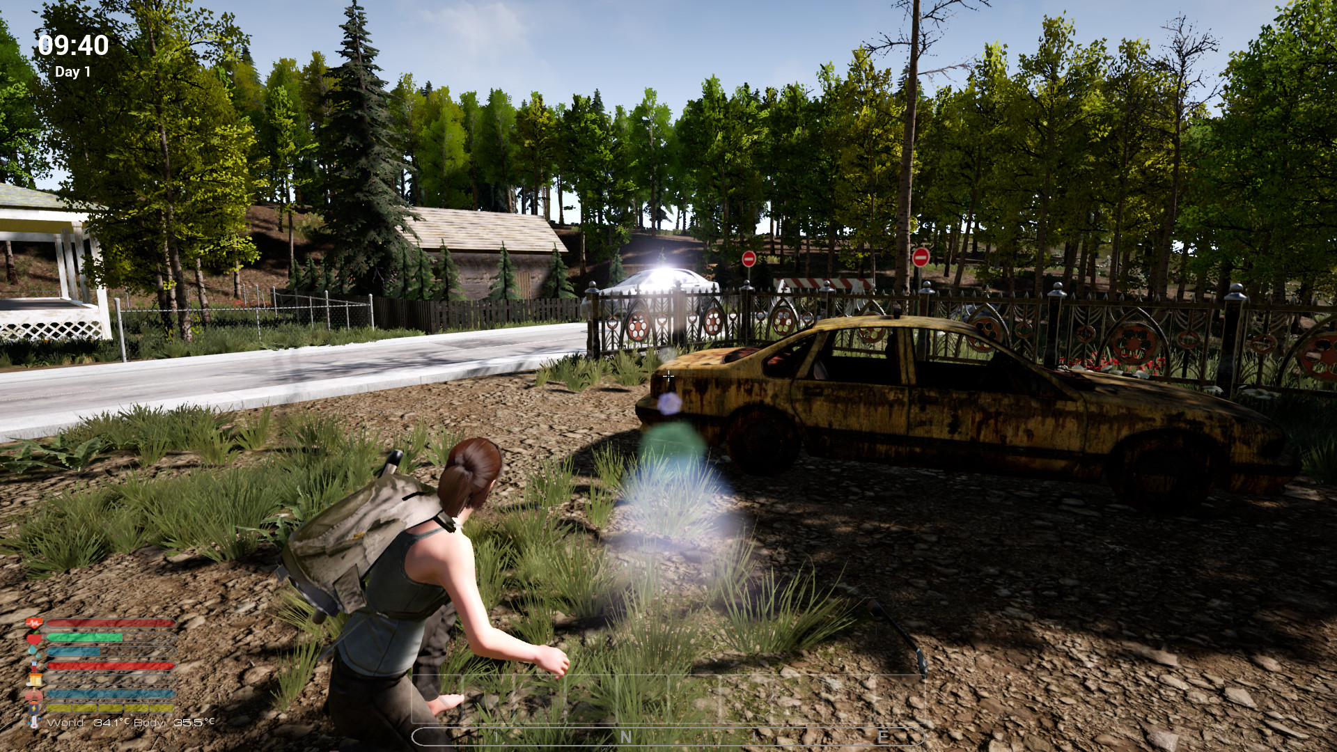 screenshot of Afandas Survival 3