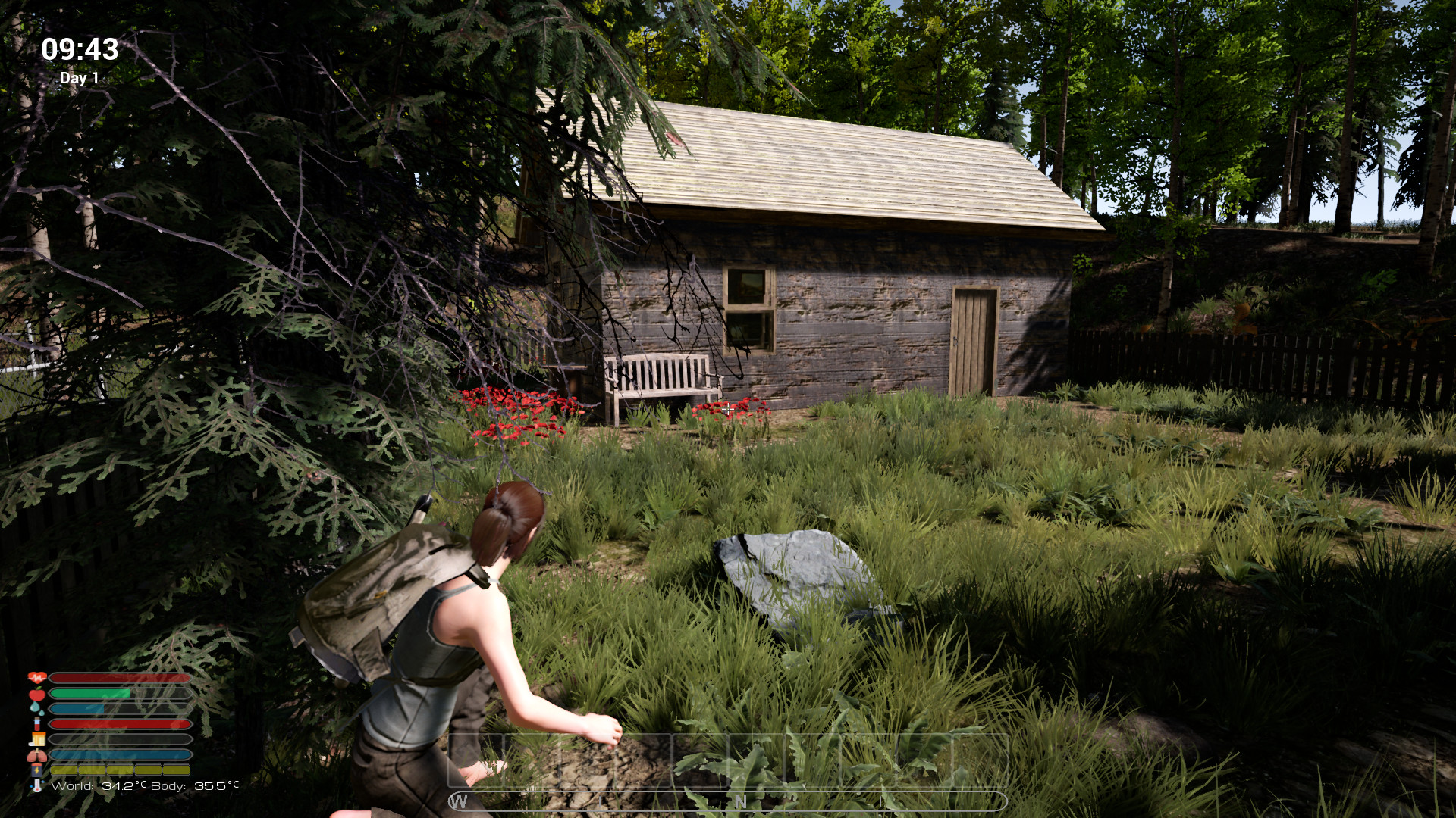 screenshot of Afandas Survival 4