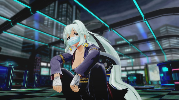 SENRAN KAGURA Peach Beach Splash - Mega Accessory Pack.