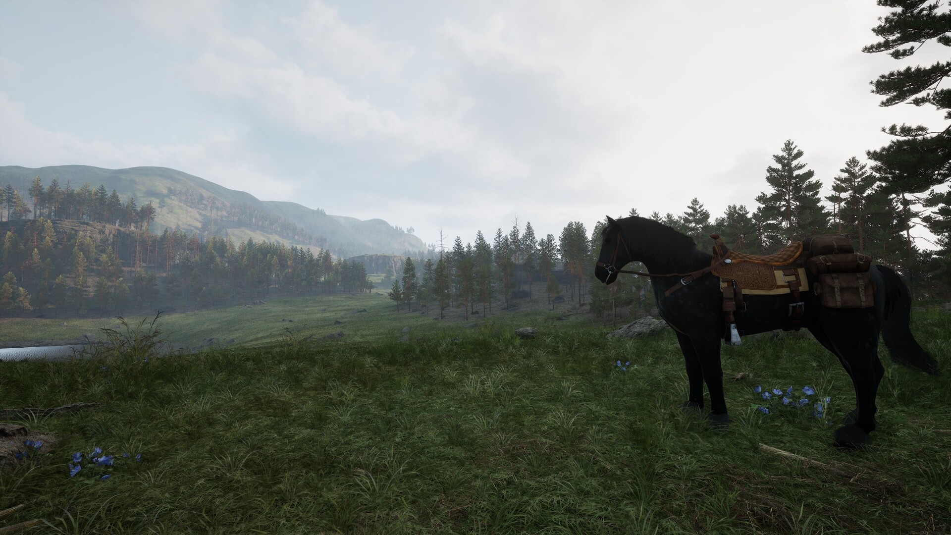 ALTERA screenshot #15