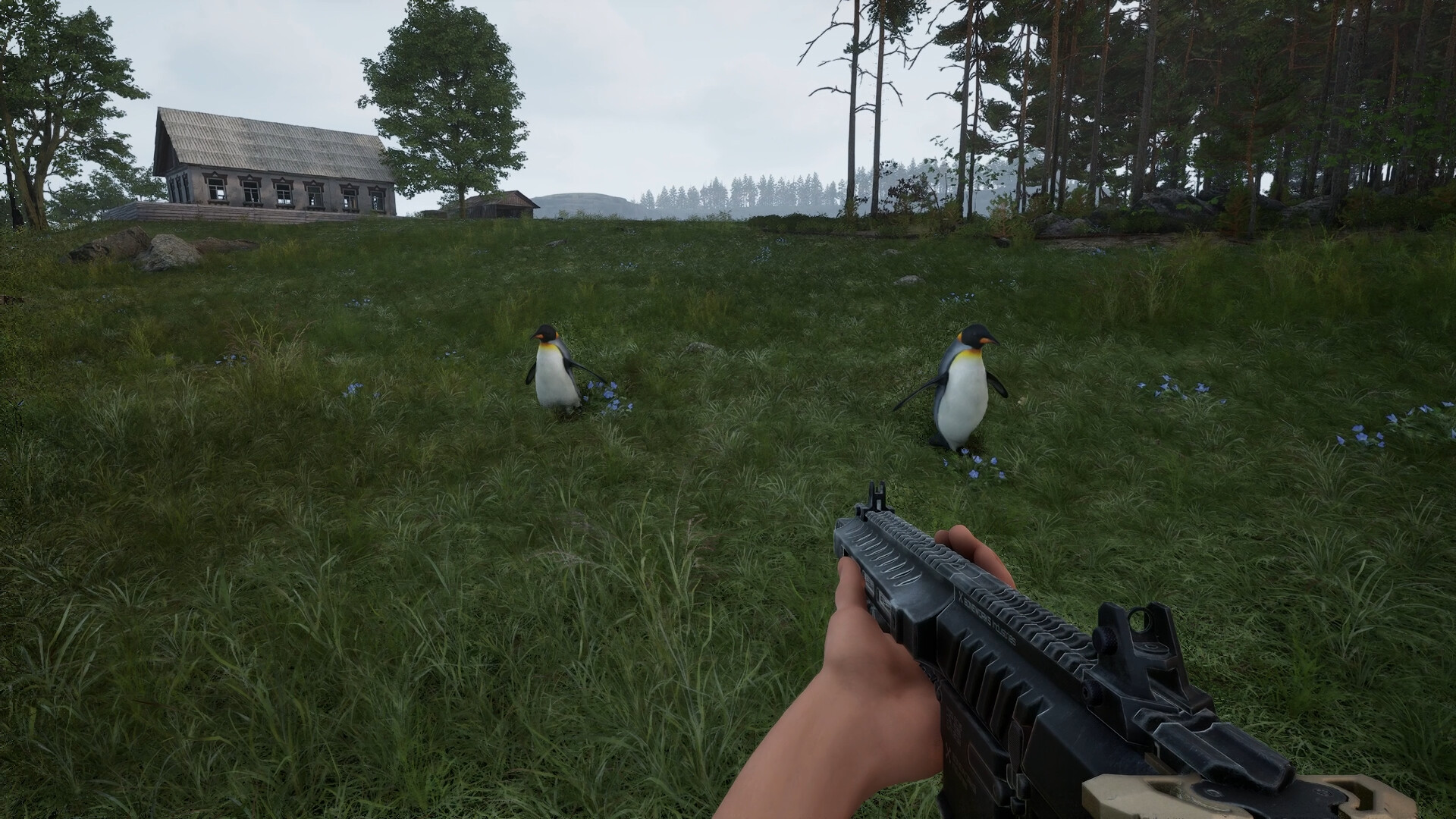 ALTERA screenshot #20