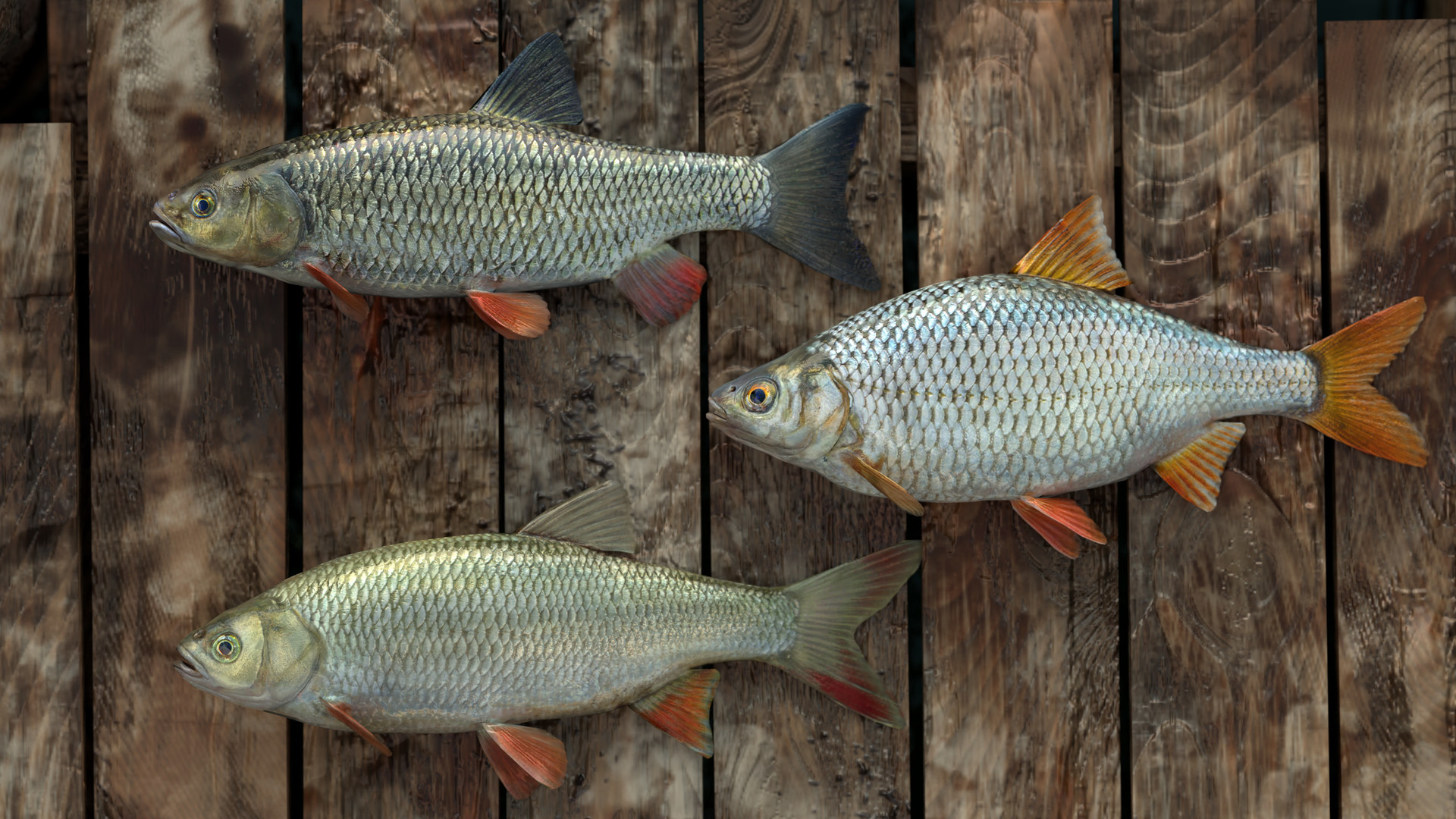 Professional Fishing screenshot #2