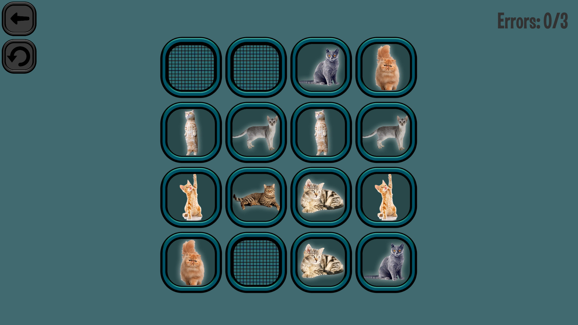 Animals Memory: Cats
