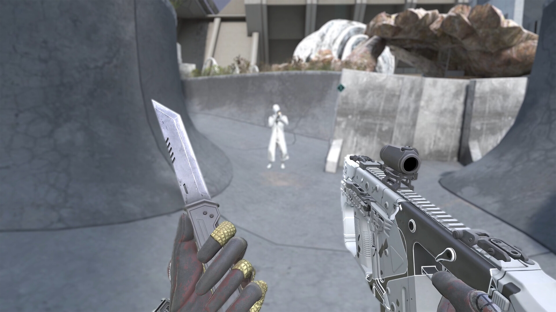 VAIL: Extraction screenshot #5