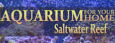 Aquarium For Your Home: Salt Water Reef game capsule image
