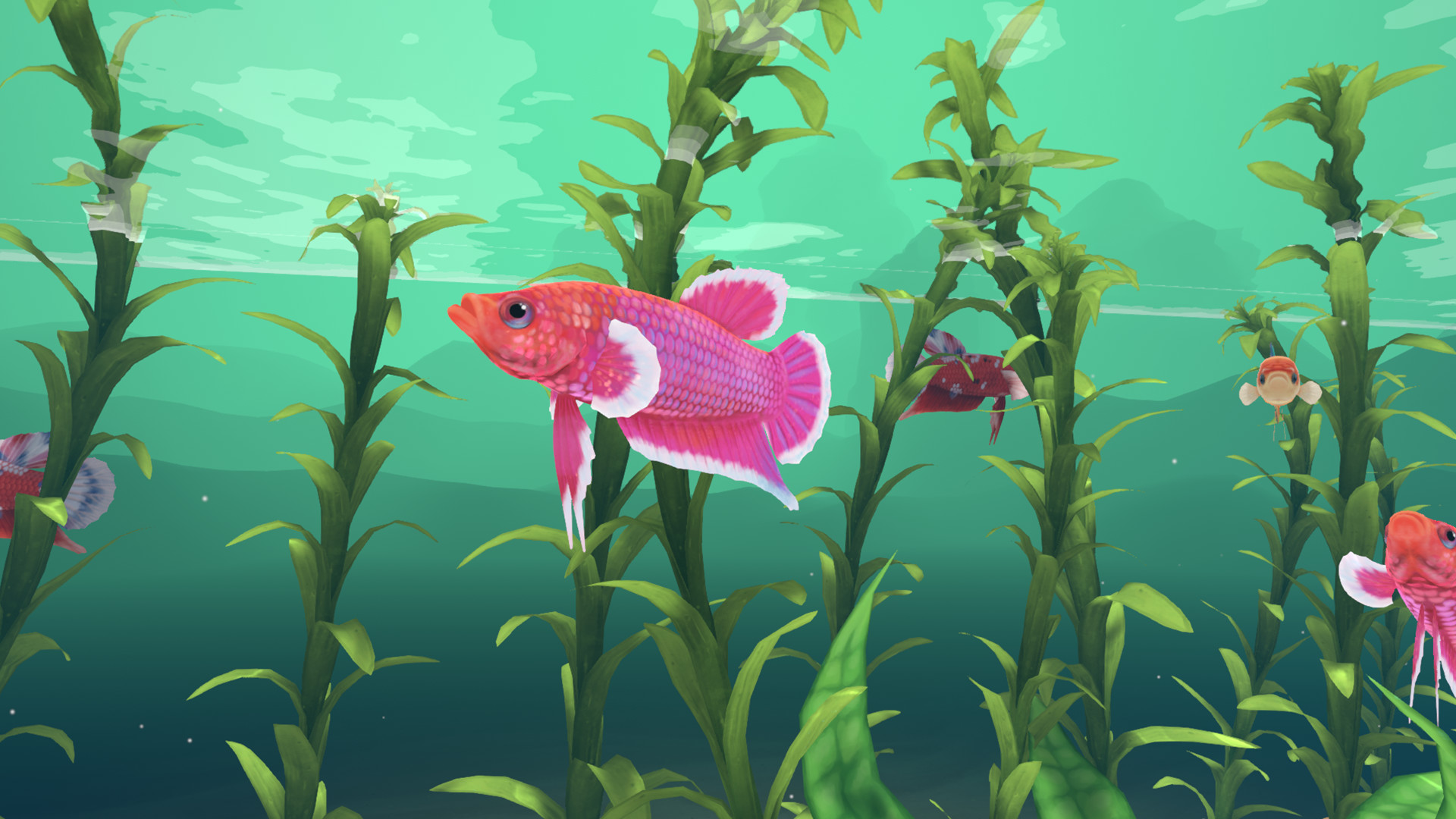 Screenshot 16