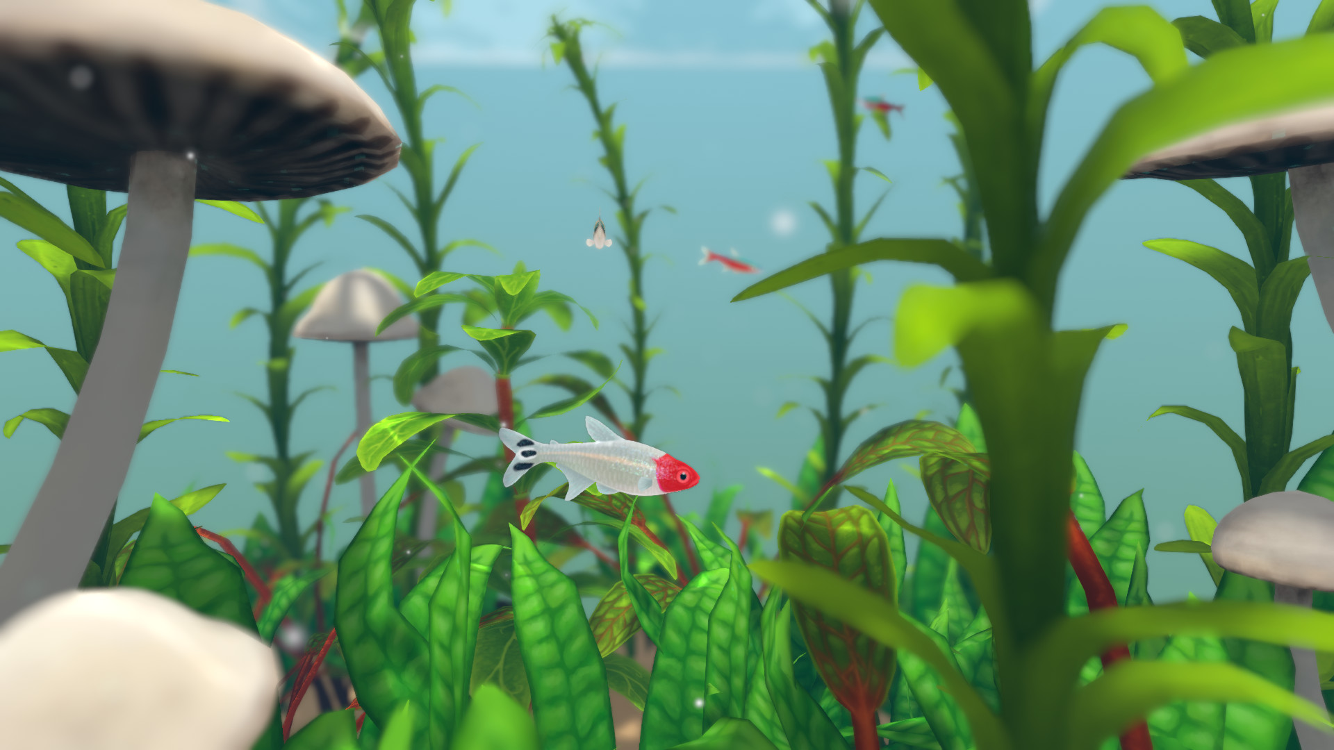 Screenshot 23