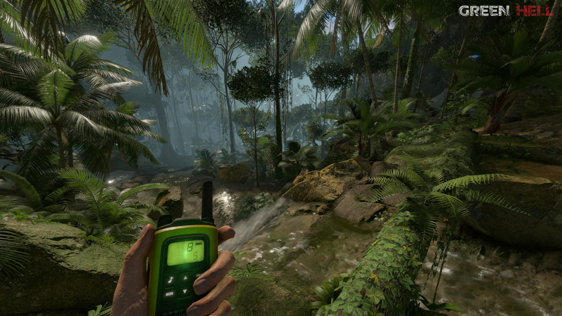 screenshot of Green Hell 22