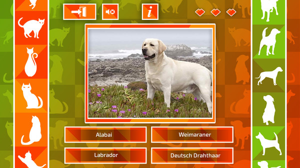 Screenshot z JQ: dogs & cats