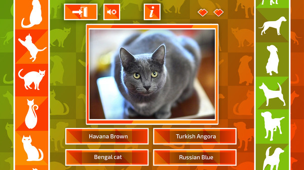 Screenshot z JQ: dogs & cats