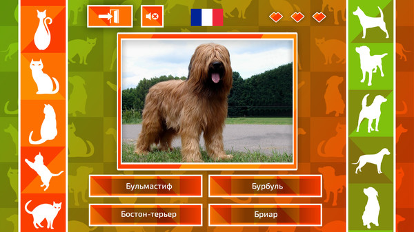 Screenshot z JQ: dogs & cats