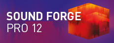 SOUND FORGE Pro 12 Steam Edition