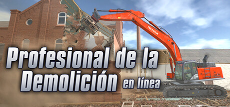 Profesional de la Demolición en línea
