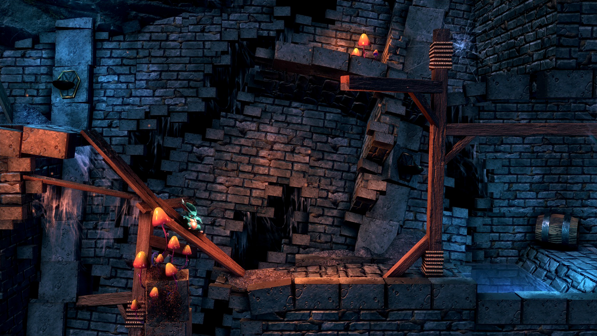 Macrotis: A Mother’s Journey