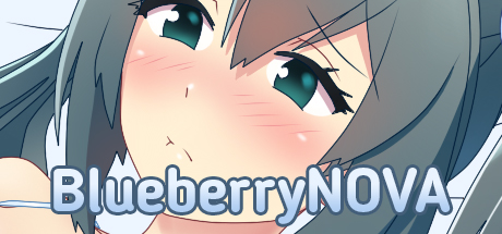 BlueberryNOVA banner