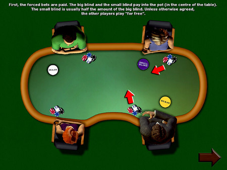Poker Simulator.