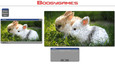 Rabbit: Jigsaw Puzzles