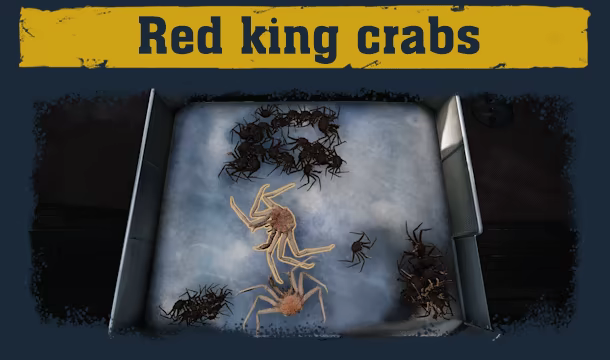 Deadliest Catch: The Game video 6